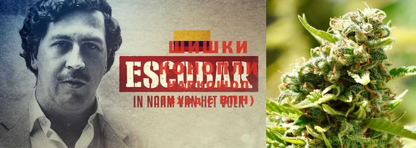 мяу мяу кристалл Баксан