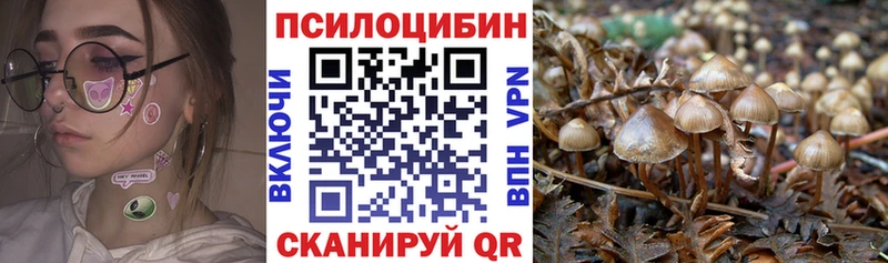 купить наркотики цена  Георгиевск  MEGA ССЫЛКА  Псилоцибиновые грибы прущие грибы 